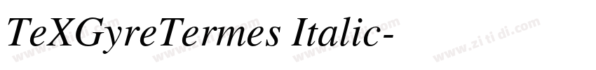 TeXGyreTermes Italic字体转换